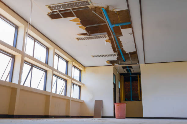 Best Flood damage cleanup  in Troy, IL