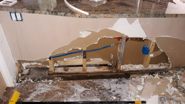 Best Sewage cleanup and water damage restoration  in Troy, IL