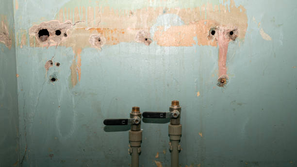 Best Fire Damage Restoration  in Troy, IL