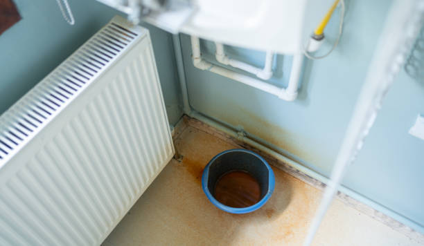 Best Ceiling water damage repair  in Troy, IL